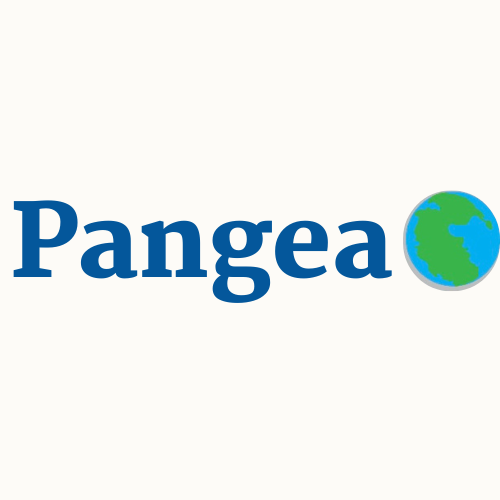 Pangea Bags